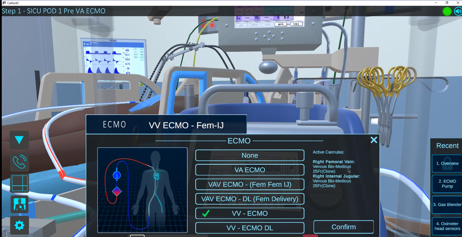 Medical Simulation